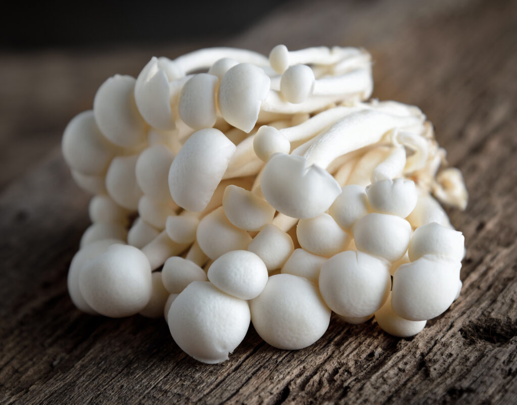 FarLong Supports Research into Prostate Cancer Prevention with White Button Mushroom Supplement